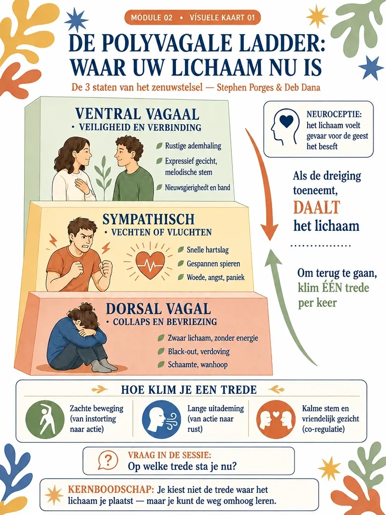 Kaart Het Tolerantievenster in Kaart Brengen